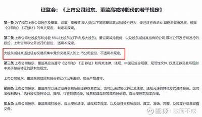 大股东减持后股价回升，投影仪龙头公司如何发掘新机遇？