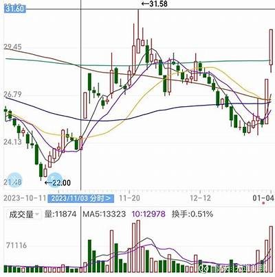 2025年1月15日股票涨停板预测：七大利好因素解析与投资机会，15号股市预测